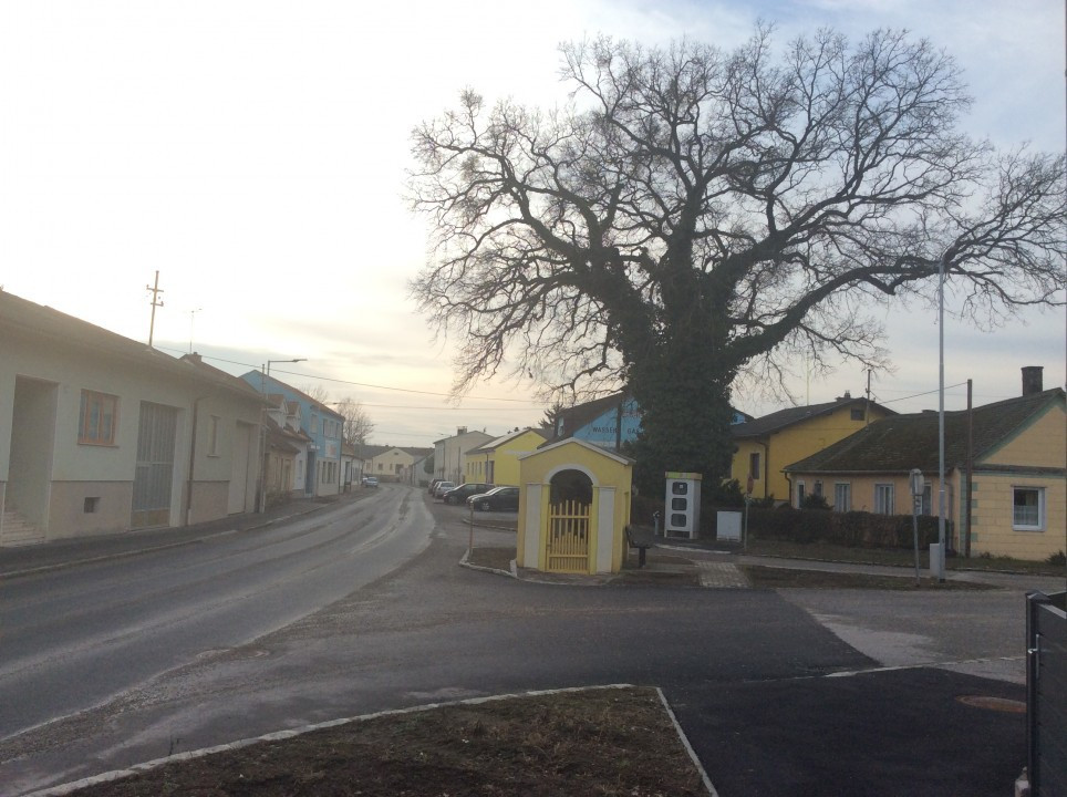 Ladendorf < Nepomuk