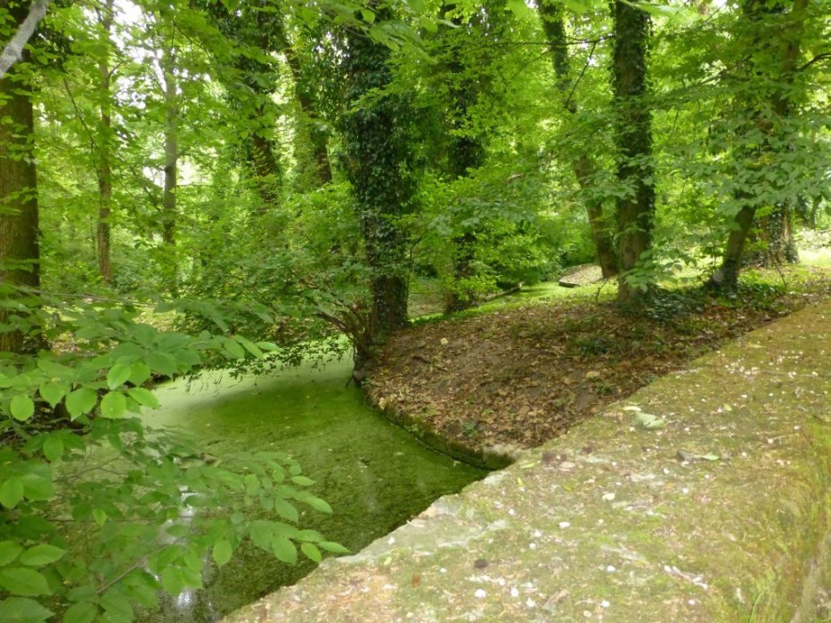 Alcsútdoboz, Arboretum, Totarm des Baches