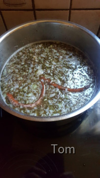 Grünkohl mit Kartoffelgnocchi und Wurst