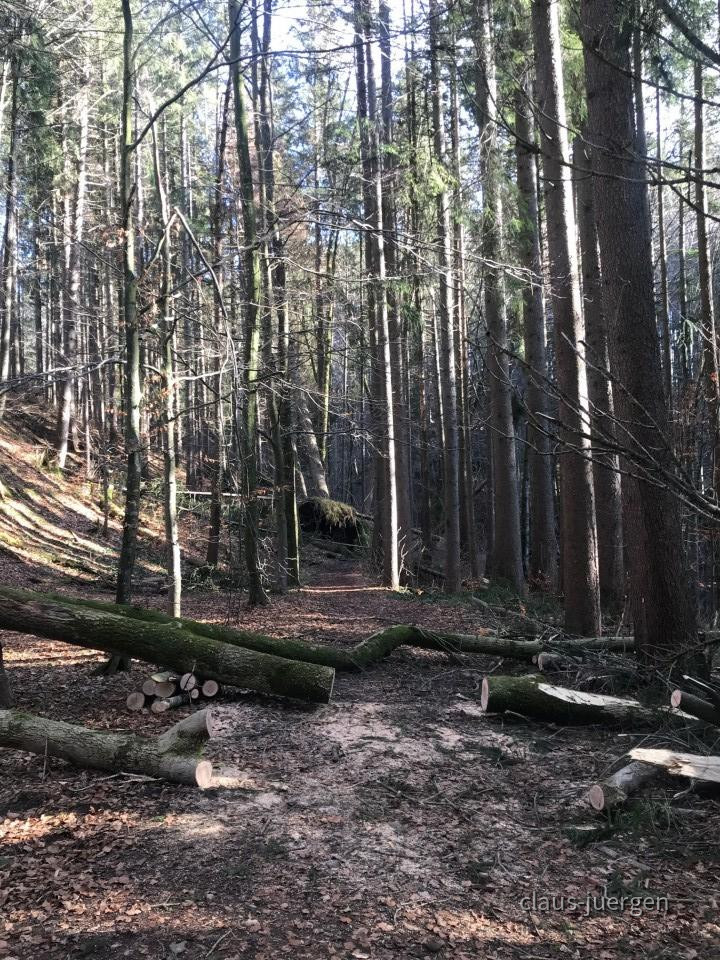 ?random=997556698&maxWidth=0&embedded=0&thumbnail=large