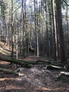 Illerdurchbruch