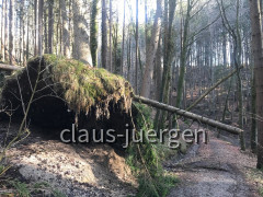 Illerdurchbruch