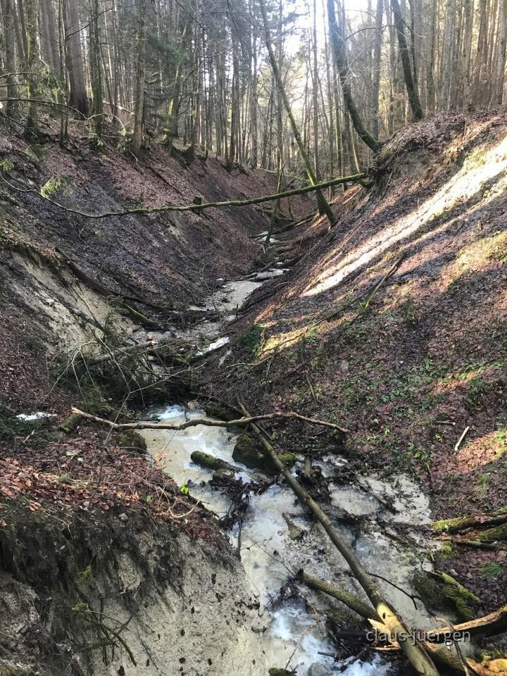 ?random=711007651&maxWidth=0&embedded=0&thumbnail=large