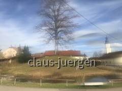 Heimaträtsel Baum