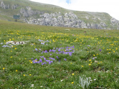 Campo Imperatore (13)