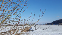 12. Februar 2021