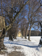 Nepomuk Rätsel