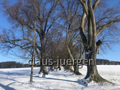 Maria Schnee Nassenbeuren