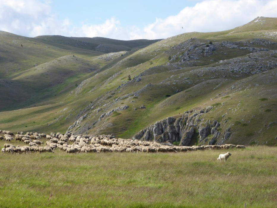 Campo Imperatore (25)