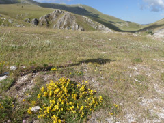 Campo Imperatore (23)