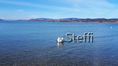 Unteruhldingen Februar 2021 (1)