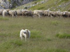 Campo Imperatore (27)