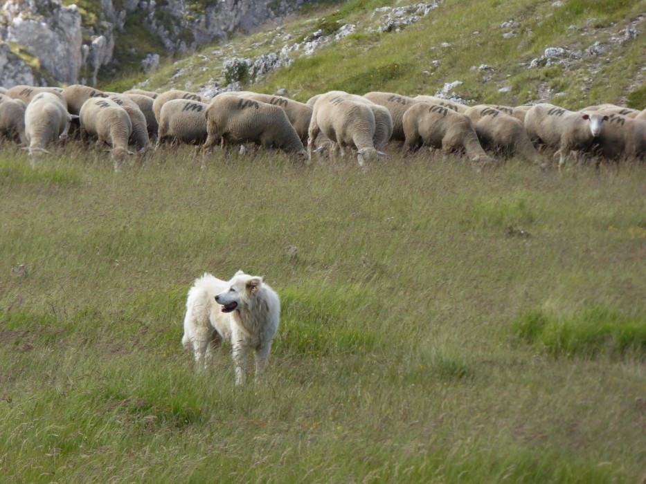 Campo Imperatore (27)
