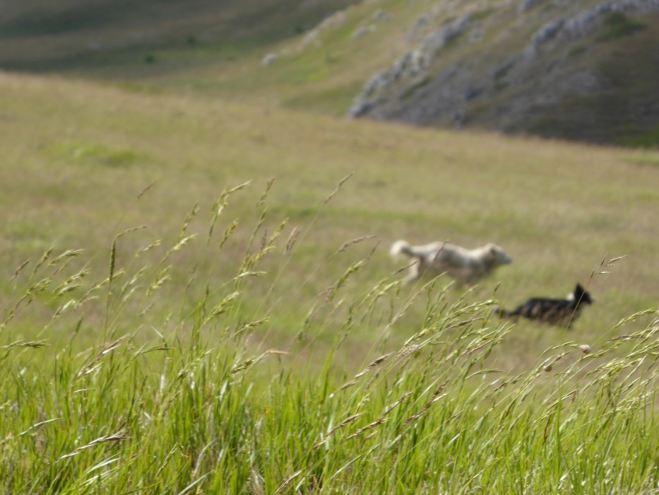 Campo Imperatore (30)