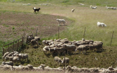 Campo Imperatore (48)