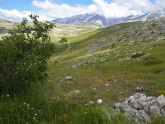 Campo Imperatore (49)