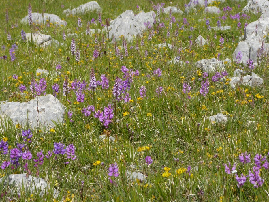 Campo Imperatore (54)