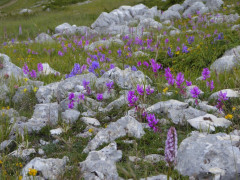 Campo Imperatore (53)