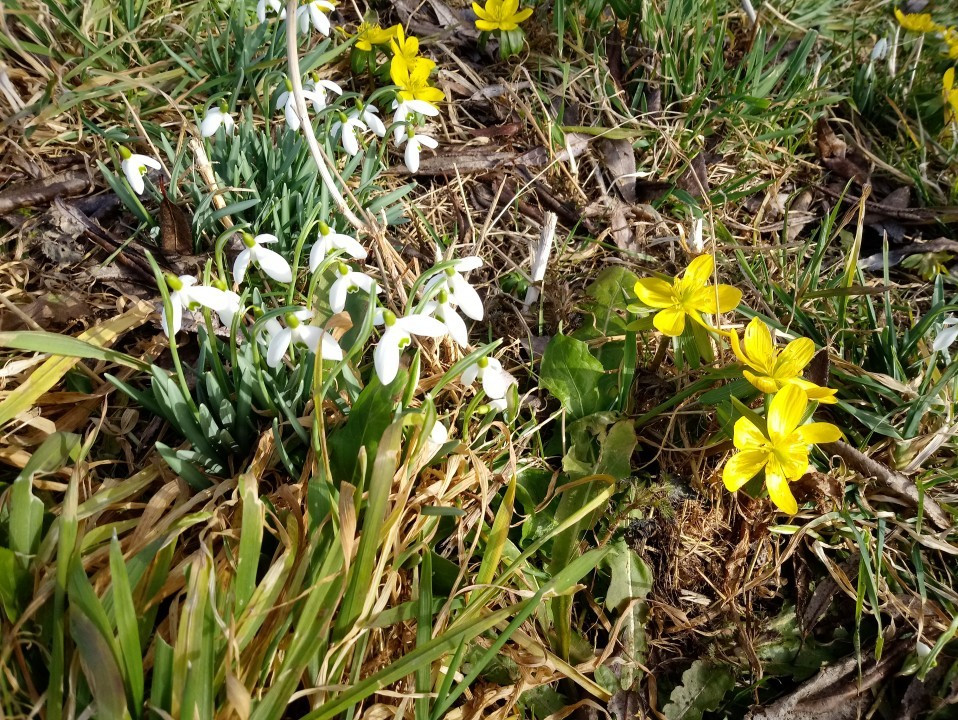 Frühling 2021