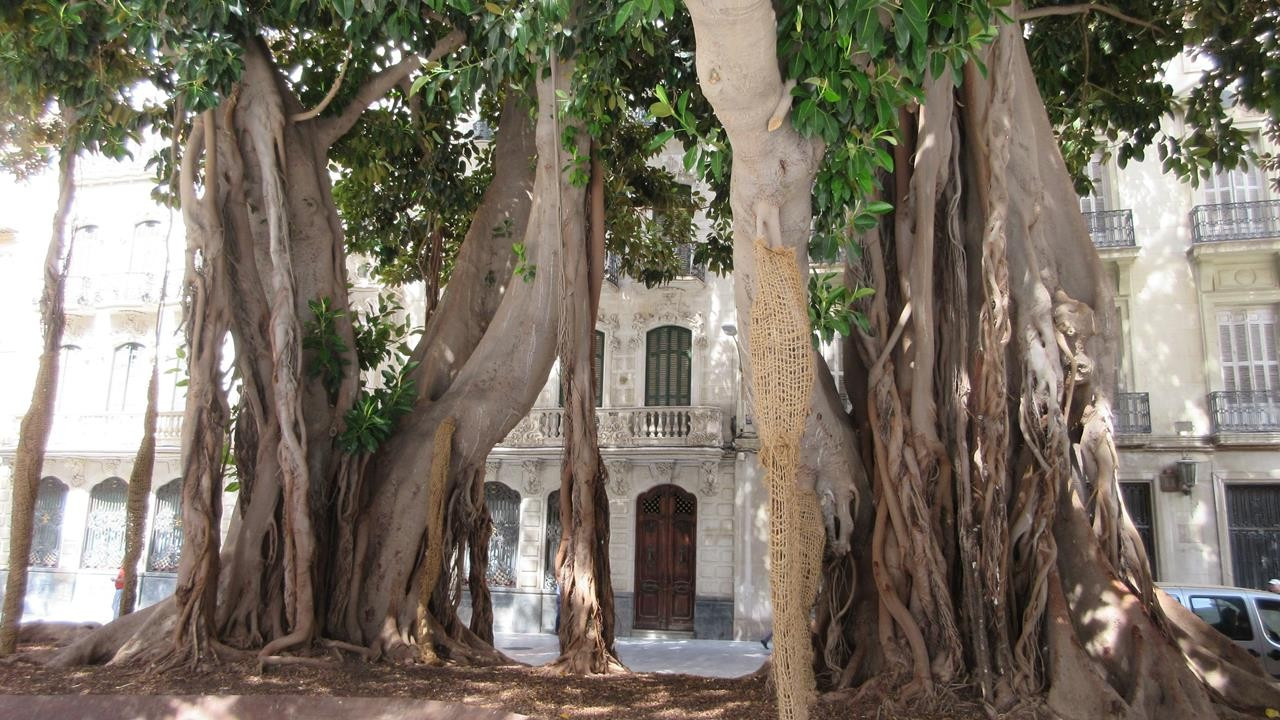 Cartagena Teil2  16