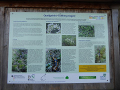 Vagen Goldbach  (3)