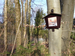 Vagen Goldbach  (5)