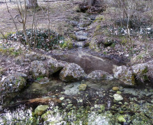 Vagen Goldbach  (9)