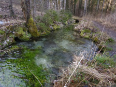 Vagen Goldbach  (7)