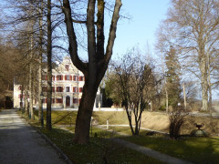 Vagen Goldbach  (25)