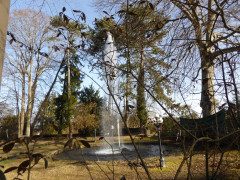 Vagen Goldbach  (24)