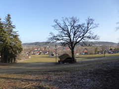 Vagen Goldbach  (30)
