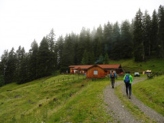 Hochschrutte