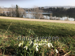 Niedersonthofener See