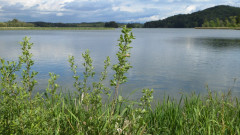 Seehamer See