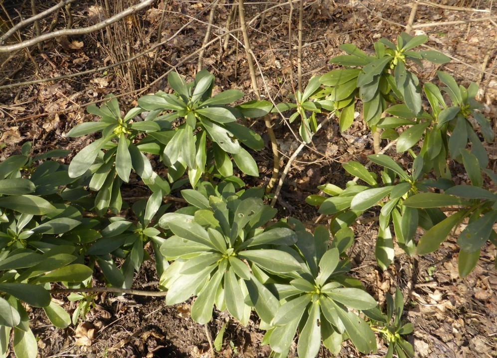 P1230754