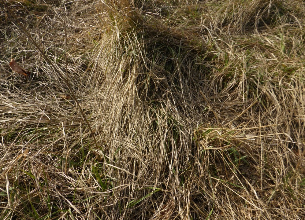 P1230744
