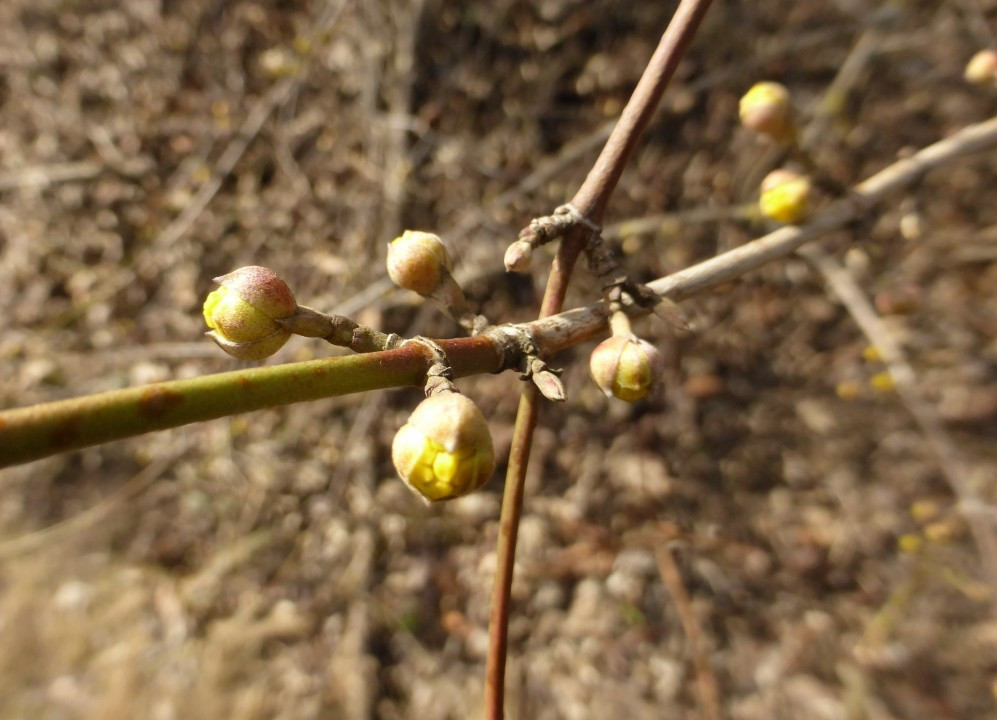 P1230762