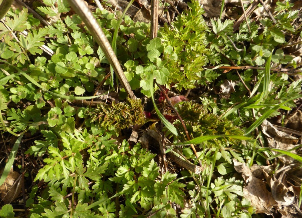P1230766