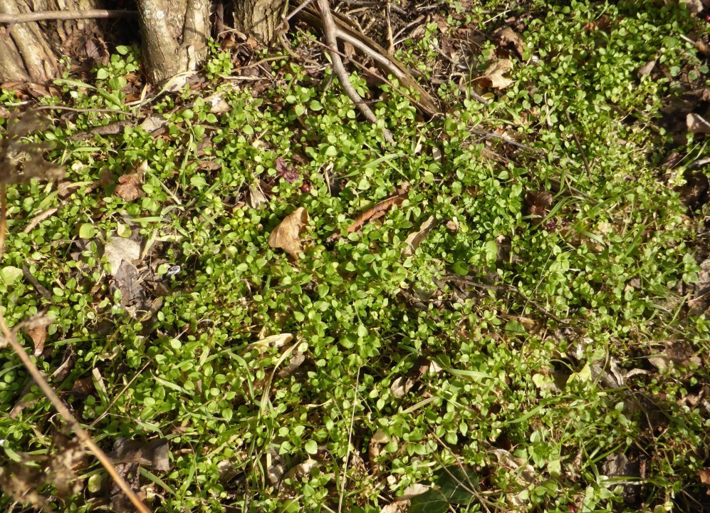 P1230765