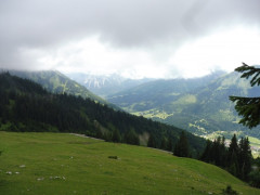 Hochschrutte