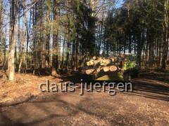 Wanderung Sommersberg Illerdurchbruch