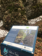 Haldertobel