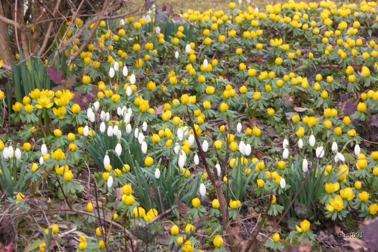 Frühling