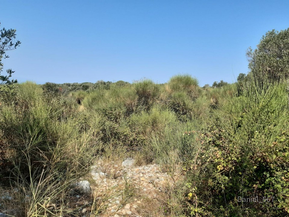 10_Insel Pag und Lun