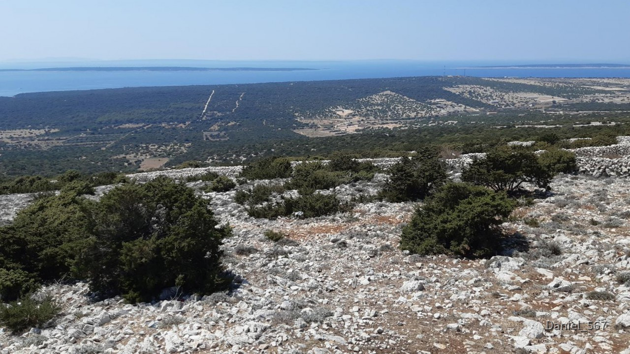 25_Insel Pag und Lun