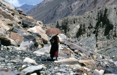 Zanskar