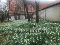 Neufnachtal