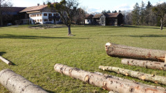 bei Schöffleiten (8)