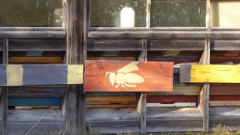 Bienenhaus bei Schöffleiten (10)