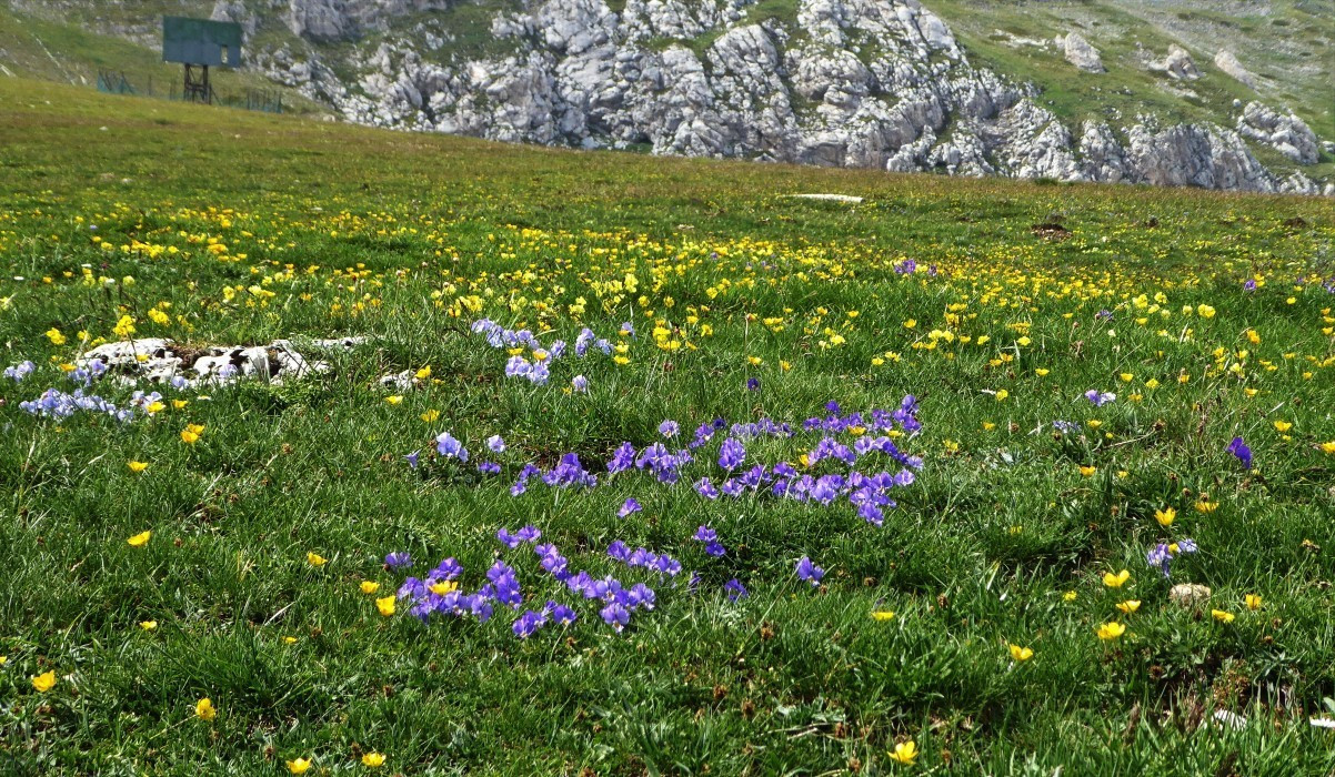 Campo Imperatore